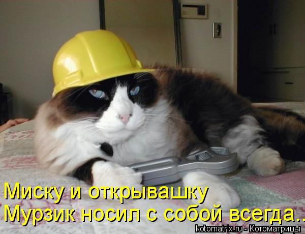 Миску и открывашку Мурзик носил с собой всегда...... Котоматрица: Миску и открывашку Мурзик носил с собой всегда...
