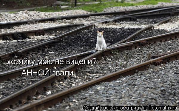 Котоматрица: хозяйку мою не видели? АННОЙ звали