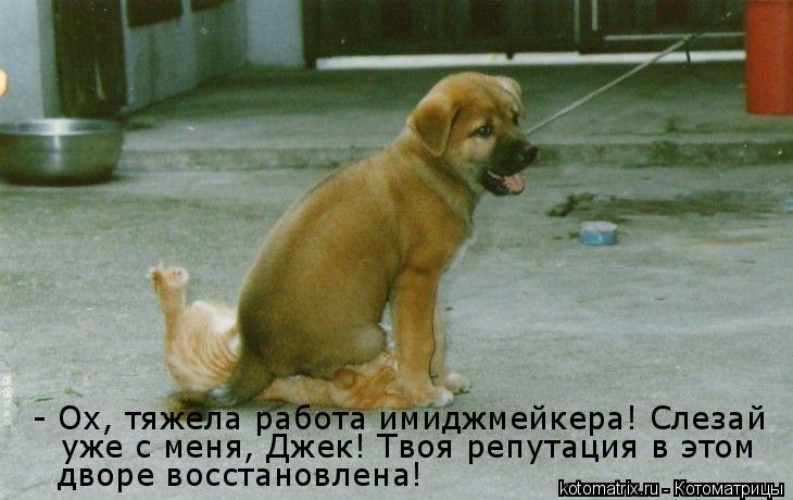 - Ох, тяжела работа имиджмейкера! Слезай дворе восстановлена! уже с меня, Джек! Твоя репутация в этом... Котоматрица: - Ох, тяжела работа имиджмейкера! Слезай дворе восстановлена! уже с меня, Джек! Твоя репутация в этом