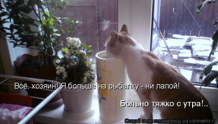 Котоматрица: Всё, хозяин! Я больше на рыбалку - ни лапой! Больно тяжко с утра!..