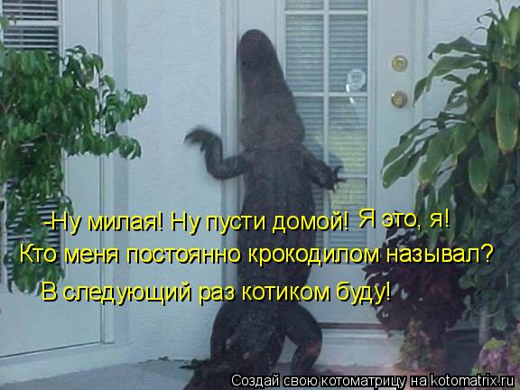 Котоматрица: -Ну милая! Ну пусти домой! Я это, я! Кто меня постоянно крокодилом называл? Кто меня постоянно крокодилом называл? В следующий раз котиком буд