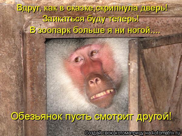 Вдруг, как в сказке,скрипнула дверь! Заикаться буду теперь! В зоопарк больше я ни ногой.... Обезьянок... Котоматрица: Вдруг, как в сказке,скрипнула дверь! Заикаться буду теперь! В зоопарк больше я ни ногой.... Обезьянок пусть смотрит другой!