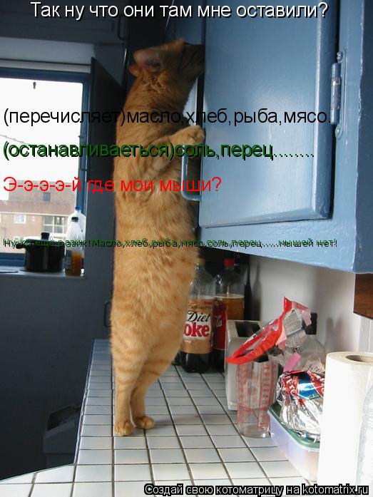 Так ну что они там мне оставили? (перечисляет)масло,хлеб,рыба,мясо. (останавливаеться)соль,перец........ Котоматрица: Так ну что они там мне оставили? (перечисляет)масло,хлеб,рыба,мясо. (останавливаеться)соль,перец........ Э-э-э-э-й где мои мыши? Ну-ка ещё разик!Ма