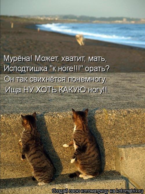 Мурёна! Может, хватит, мать, Исподтишка "к ноге!!!" орать? Он так свихнётся понемногу, Ища НУ ХОТЬ КА... Котоматрица: Мурёна! Может, хватит, мать, Исподтишка "к ноге!!!" орать? Он так свихнётся понемногу, Ища НУ ХОТЬ КАКУЮ ногу!!