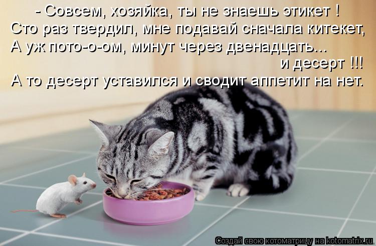 - Совсем, хозяйка, ты не знаешь этикет ! Сто раз твердил, мне подавай сначала китекет, А уж пото-о-ом... Котоматрица: - Совсем, хозяйка, ты не знаешь этикет ! Сто раз твердил, мне подавай сначала китекет, А уж пото-о-ом, минут через двенадцать... и десерт !!! А то д