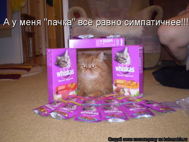 А у меня "пачка" всё равно симпатичнее!!!... Котоматрица: А у меня "пачка" всё равно симпатичнее!!!