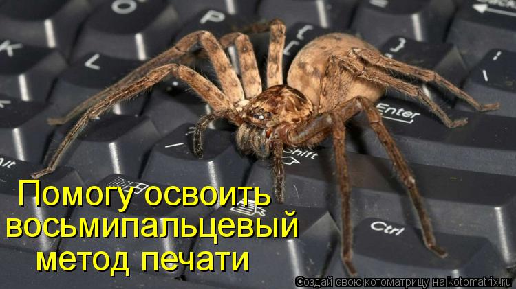 Помогу освоить восьмипальцевый метод печати... Котоматрица: Помогу освоить восьмипальцевый метод печати