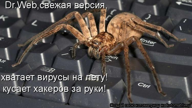 Dr.Web,свежая версия, кусает хакеров за руки! хватает вирусы на лету!... Котоматрица: Dr.Web,свежая версия, кусает хакеров за руки! хватает вирусы на лету!