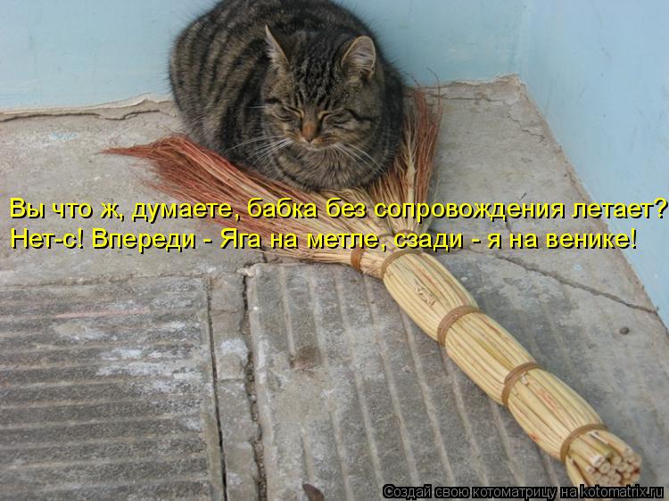 Вы что ж, думаете, бабка без сопровождения летает? Нет-с! Впереди - Яга на метле, сзади - я на веник... Котоматрица: Вы что ж, думаете, бабка без сопровождения летает? Нет-с! Впереди - Яга на метле, сзади - я на венике!