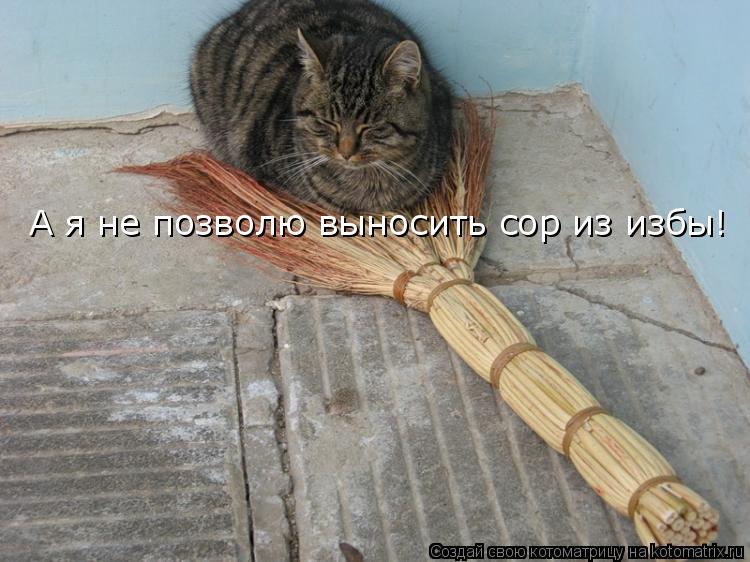 А я не позволю выносить сор из избы!... Котоматрица: А я не позволю выносить сор из избы!