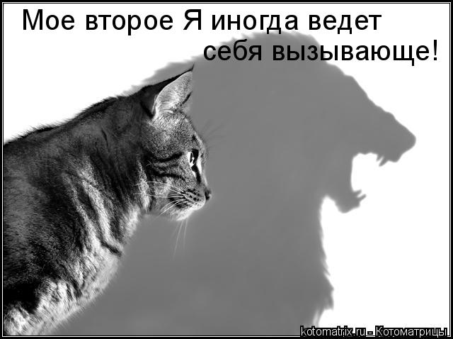 Мое второе Я иногда ведет себя вызывающе!... Котоматрица: Мое второе Я иногда ведет себя вызывающе!