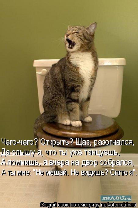 Котоматрица: Чего-чего? Открыть? Щаз, разогнался, Да слышу я, что ты уже танцуешь, А помнишь, я вчера на двор собрался, А ты мне: "Не мешай. Не видишь? Сплю я".