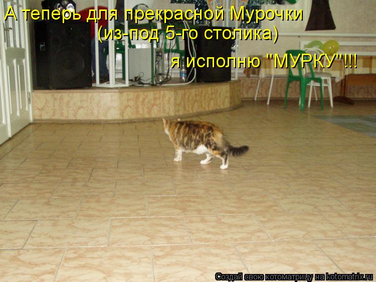 А теперь для прекрасной Мурочки (из-под 5-го столика) я исполню "МУРКУ"!!!... Котоматрица: А теперь для прекрасной Мурочки (из-под 5-го столика) я исполню "МУРКУ"!!!