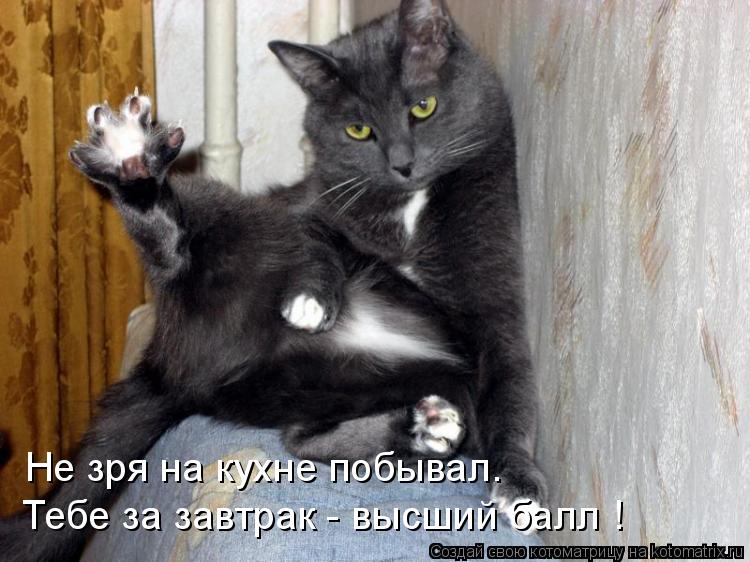 Котоматрица: Не зря на кухне побывал. Тебе за завтрак - высший балл !