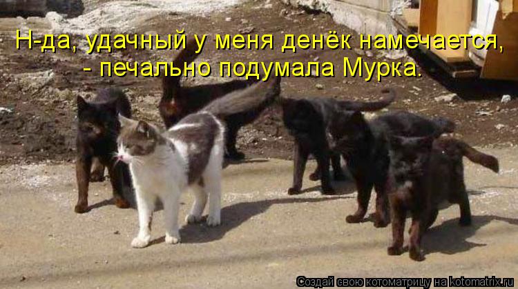 Н-да, удачный у меня денёк намечается, - печально подумала Мурка.... Котоматрица: Н-да, удачный у меня денёк намечается, - печально подумала Мурка.