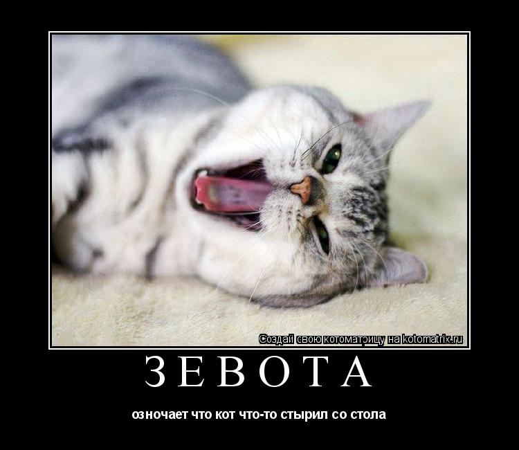 зевота озночает что кот что-то стырил со стола... Котоматрица: зевота озночает что кот что-то стырил со стола