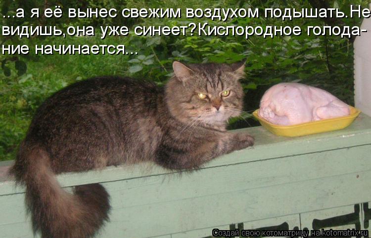 ...а я её вынес свежим воздухом подышать.Не видишь,она уже синеет?Кислородное голода- ние начинается.... Котоматрица: ...а я её вынес свежим воздухом подышать.Не видишь,она уже синеет?Кислородное голода- ние начинается...