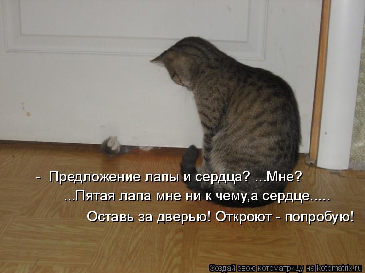 - Предложение лапы и сердца? ...Мне? ...Пятая лапа мне ни к чему,а сердце..... Оставь за дверью! Отк... Котоматрица: - Предложение лапы и сердца? ...Мне? ...Пятая лапа мне ни к чему,а сердце..... Оставь за дверью! Откроют - попробую!