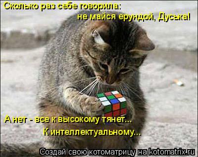 Котоматрица: Сколько раз себе говорила: не майся ерундой, Дуська! А нет - все к высокому тянет... К интеллектуальному...