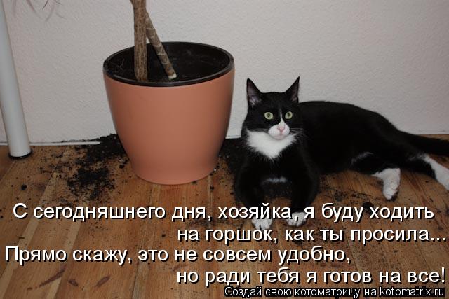 Котоматрица: С сегодняшнего дня, хозяйка, я буду ходить  на горшок, как ты просила... Прямо скажу, это не совсем удобно,  но ради тебя я готов на все!