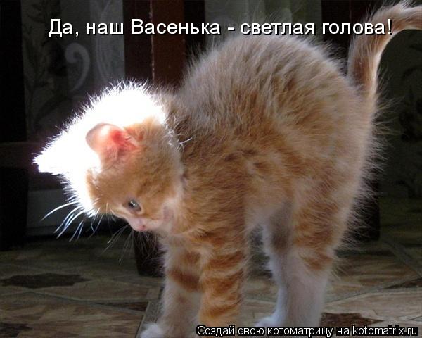 Да, наш Васенька - светлая голова!... Котоматрица: Да, наш Васенька - светлая голова!