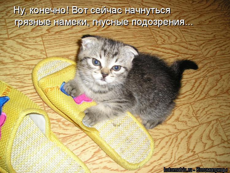 грязные намеки, гнусные подозрения... Ну, конечно! Вот сейчас начнуться... Котоматрица: грязные намеки, гнусные подозрения... Ну, конечно! Вот сейчас начнуться