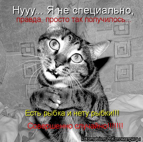 Нууу... Я не специально, правда, просто так получилось... Есть рыбка и нету рыбки!!! Совершенно слу... Котоматрица: Нууу... Я не специально, правда, просто так получилось... Есть рыбка и нету рыбки!!! Совершенно случайно!!!!!!!