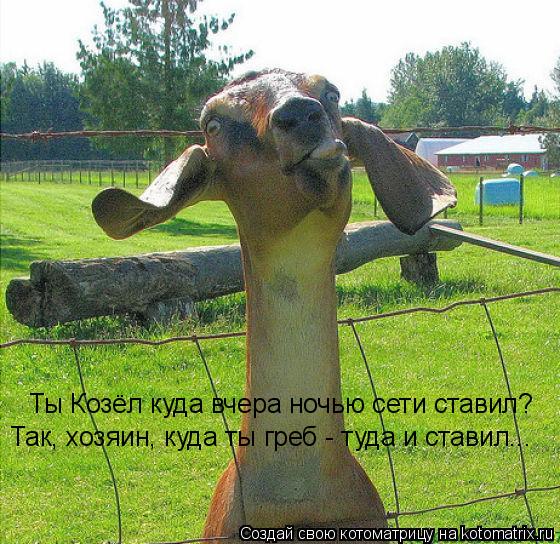 Ты Козёл куда вчера ночью сети ставил? Так, хозяин, куда ты греб - туда и ставил...... Котоматрица: Ты Козёл куда вчера ночью сети ставил? Так, хозяин, куда ты греб - туда и ставил...