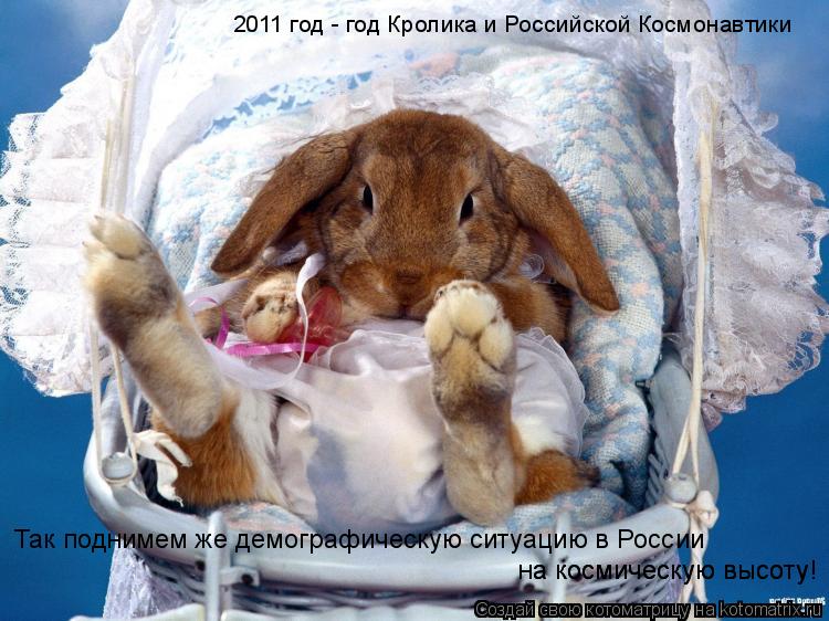 Котоматрица: 2011 год - год Кролика и Российской Космонавтики Так поднимем же демографическую ситуацию в России  на космическую высоту! на космическую выс