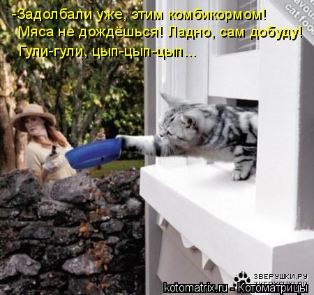 -Задолбали уже, этим комбикормом! Мяса не дождёшься! Ладно, сам добуду! Гули-гули, цып-цып-цып...... Котоматрица: -Задолбали уже, этим комбикормом! Мяса не дождёшься! Ладно, сам добуду! Гули-гули, цып-цып-цып...