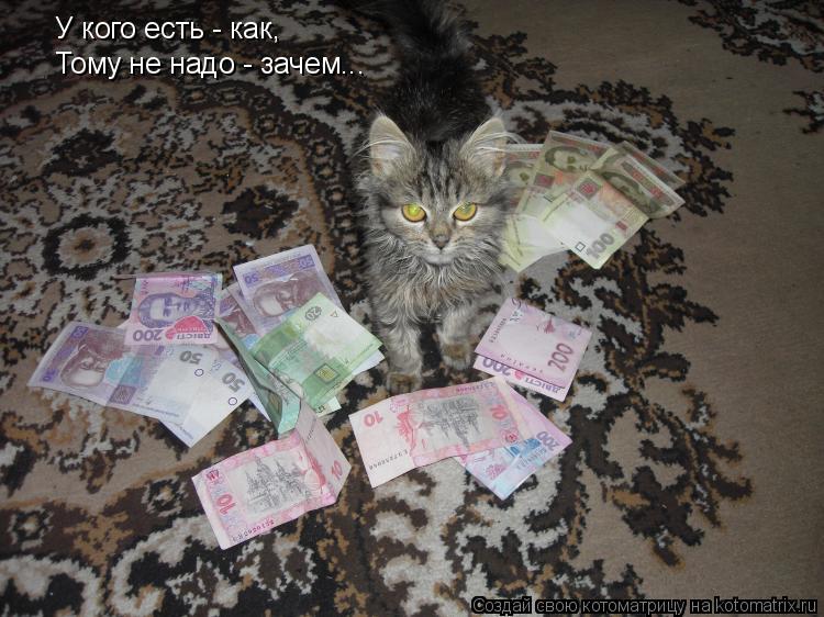 У кого есть - как, Тому не надо - зачем...... Котоматрица: У кого есть - как, Тому не надо - зачем...