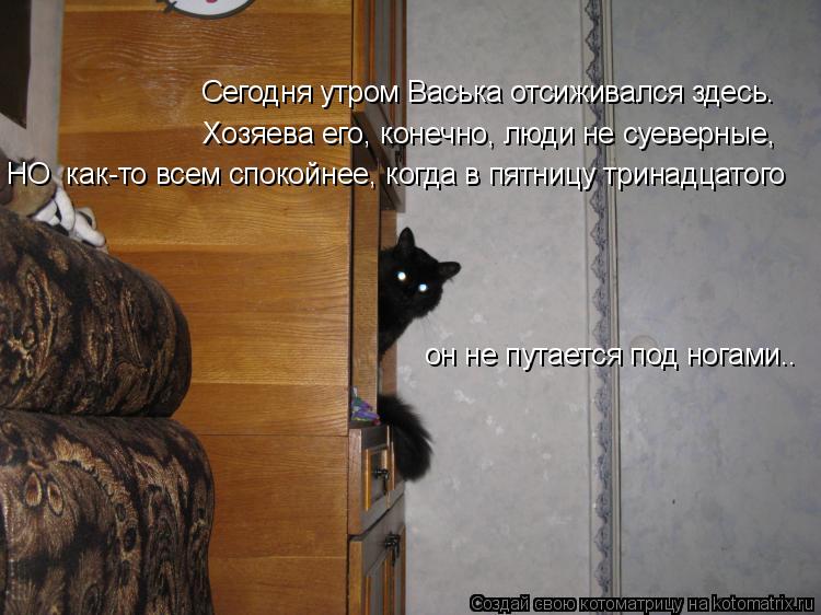 Котоматрица: Хозяева его, конечно, люди не суеверные, Сегодня утром Васька отсиживался здесь. НО  как-то всем спокойнее, когда в пятницу тринадцатого он н