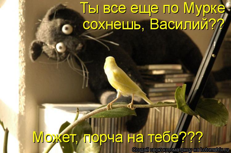http://kotomatrix.ru/images/lolz/2010/11/25/748214.jpg