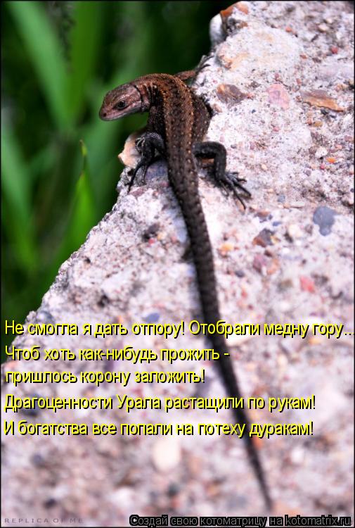 Не смогла я дать отпору! Отобрали медну гору….. Чтоб хоть как-нибудь прожить - пришлось корону залож... Котоматрица: Не смогла я дать отпору! Отобрали медну гору….. Чтоб хоть как-нибудь прожить - пришлось корону заложить! Драгоценности Урала растащили по р