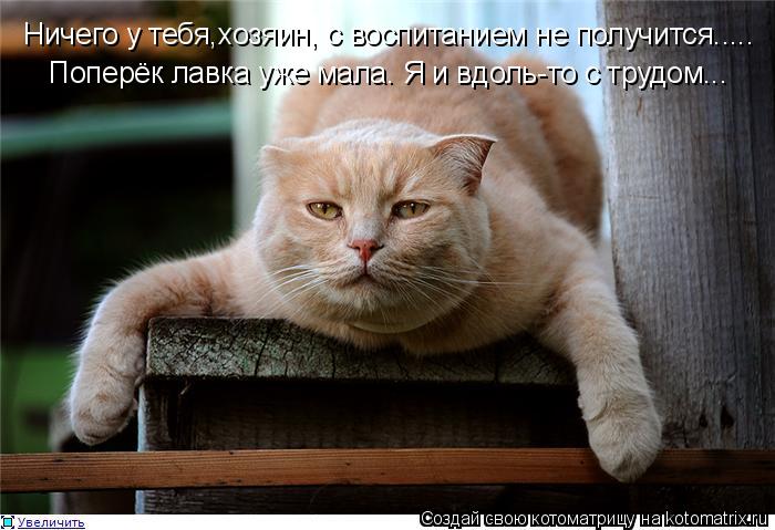 Ничего у тебя,хозяин, с воспитанием не получится..... Поперёк лавка уже мала. Я и вдоль-то с трудом.... Котоматрица: Ничего у тебя,хозяин, с воспитанием не получится..... Поперёк лавка уже мала. Я и вдоль-то с трудом...