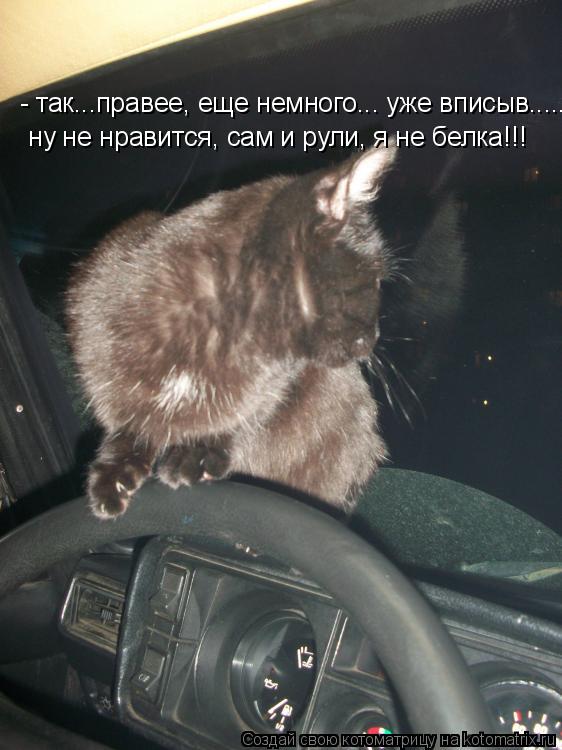 - так...правее, еще немного... уже вписыв..... ну не нравится, сам и рули, я не белка!!! ну не нрави... Котоматрица: - так...правее, еще немного... уже вписыв..... ну не нравится, сам и рули, я не белка!!! ну не нравится, сам и рули, я не белка!!!
