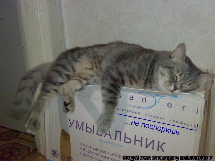 Котоматрица: ...не поспоришь. ___________________!