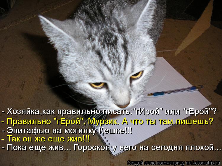 Котоматрица: - Правильно "гЕрой", Мурзик. А что ты там пишешь? - Так он же еще жив!!! - Пока еще жив... Гороскоп у него на сегодня плохой... - Эпитафью на могилку 