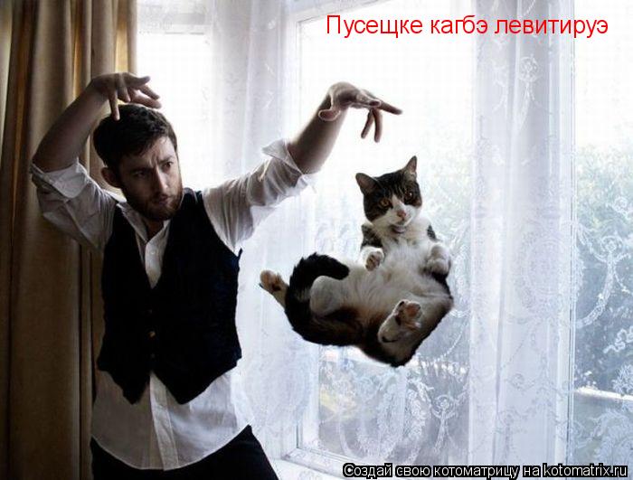 Пусещке кагбэ левитируэ... Котоматрица: Пусещке кагбэ левитируэ
