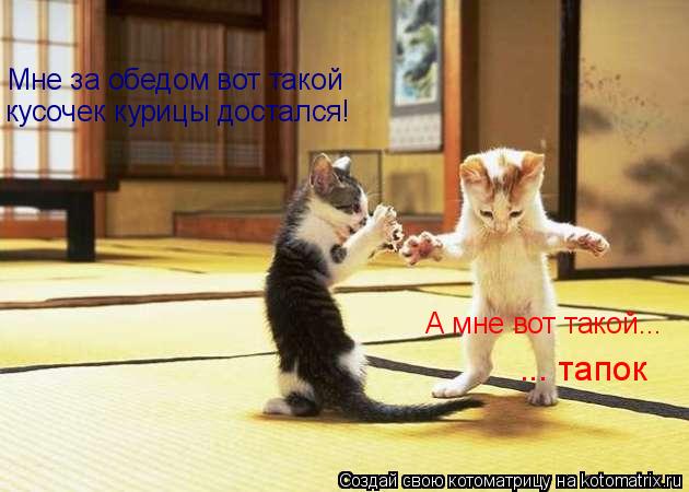 Мне за обедом вот такой кусочек курицы достался! А мне вот такой... ... тапок... Котоматрица: Мне за обедом вот такой кусочек курицы достался! А мне вот такой... ... тапок