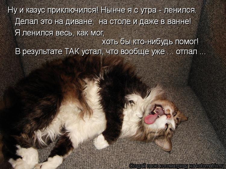 В результате ТАК устал, что вообще уже ... отпал ... хоть бы кто-нибудь помог! Я ленился весь, как м... Котоматрица: В результате ТАК устал, что вообще уже ... отпал ... хоть бы кто-нибудь помог! Я ленился весь, как мог, Делал это на диване, на столе и даже в ван
