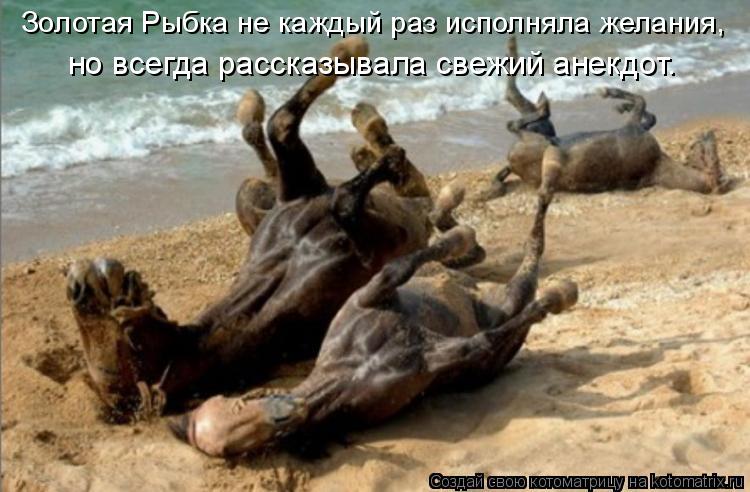 но всегда рассказывала свежий анекдот. Золотая Рыбка не каждый раз исполняла желания,... Котоматрица: но всегда рассказывала свежий анекдот. Золотая Рыбка не каждый раз исполняла желания,