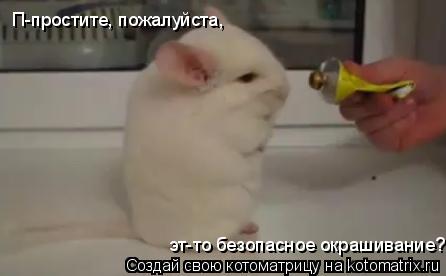 П-простите, пожалуйста, эт-то безопасное окрашивание?... Котоматрица: П-простите, пожалуйста, эт-то безопасное окрашивание?