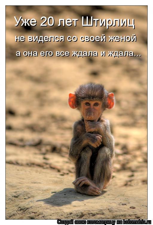 Котоматрица: Уже 20 лет Штирлиц  не виделся со своей женой а она его все ждала и ждала...
