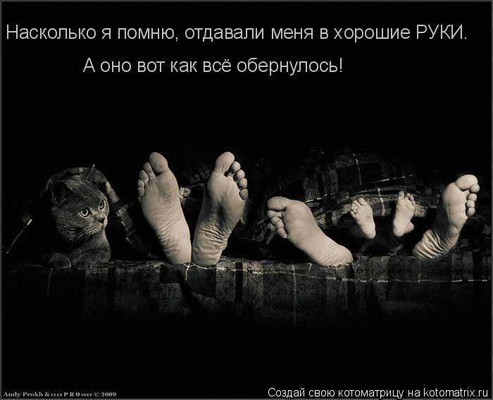 Насколько я помню, отдавали меня в хорошие РУКИ. А оно вот как всё обернулось!... Котоматрица: Насколько я помню, отдавали меня в хорошие РУКИ. А оно вот как всё обернулось!
