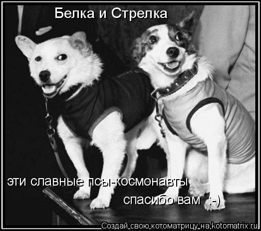 Белка и Стрелка эти славные псы-космонавты спасибо вам :-)... Котоматрица: Белка и Стрелка эти славные псы-космонавты спасибо вам :-)