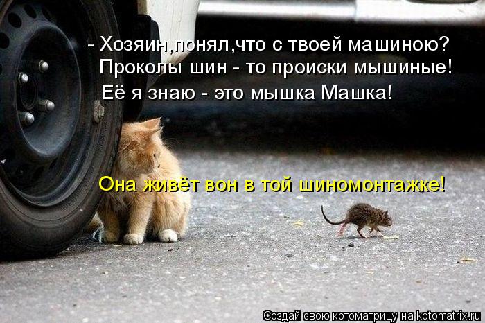 - Хозяин,понял,что с твоей машиною? Проколы шин - то происки мышиные! Её я знаю - это мышка Машка! Он... Котоматрица: - Хозяин,понял,что с твоей машиною? Проколы шин - то происки мышиные! Её я знаю - это мышка Машка! Она живёт вон в той шиномонтажке!