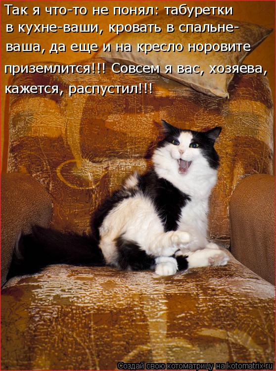 Так я что-то не понял: табуретки в кухне-ваши, кровать в спальне- ваша, да еще и на кресло норовите ... Котоматрица: Так я что-то не понял: табуретки в кухне-ваши, кровать в спальне- ваша, да еще и на кресло норовите приземлится!!! Совсем я вас, хозяева, кажетс