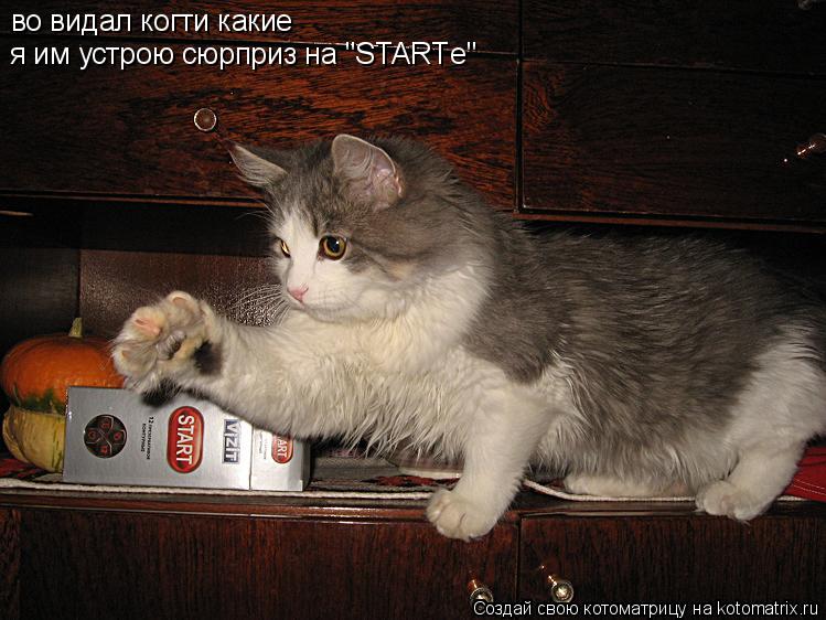 во видал когти какие я им устрою сюрприз на "STARTе"... Котоматрица: во видал когти какие я им устрою сюрприз на "STARTе"