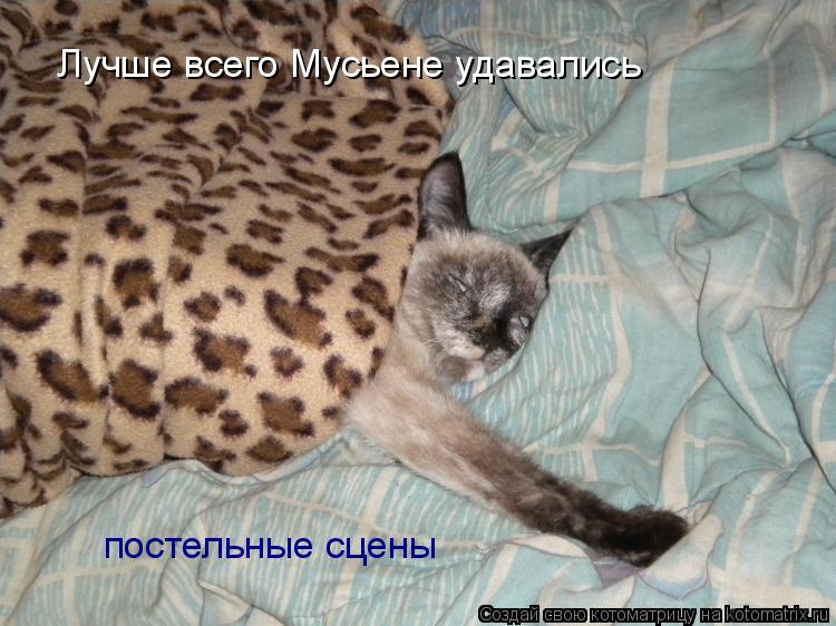 Лучше всего Мусьене удавались постельные сцены... Котоматрица: Лучше всего Мусьене удавались постельные сцены